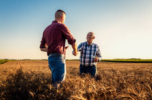 Farmers in field