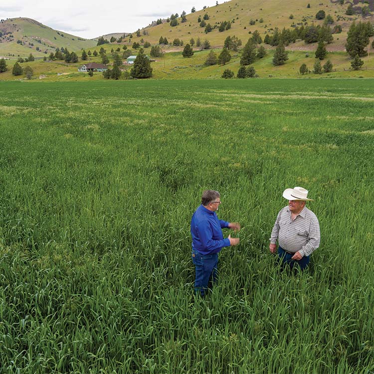 Bank of Eastern Oregon CEO
