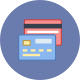 Credit Card Program Credit Card Icon